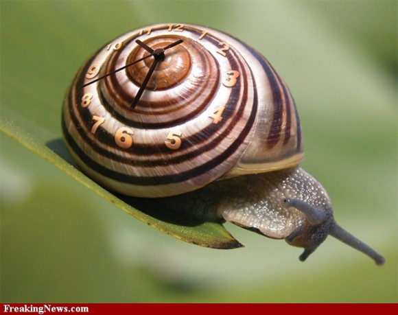 snail-clock